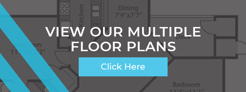 View Our Floor Plans